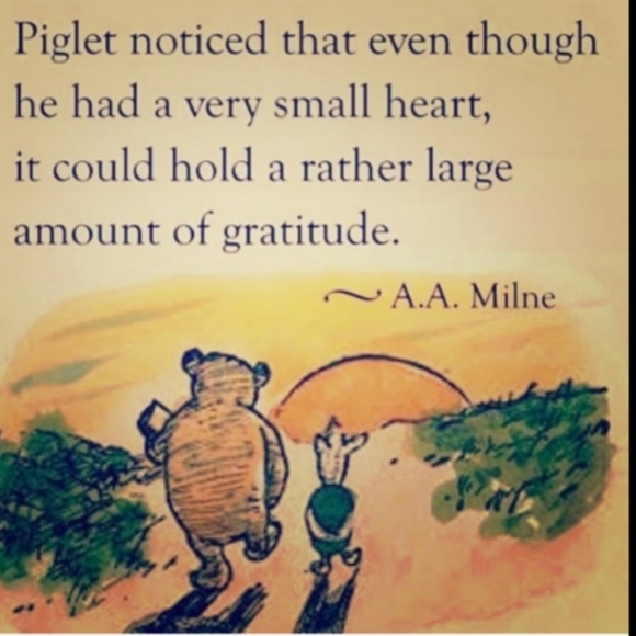 Y2K VINTAGE ZANA DI FLARE JEANS EUC Sz 9 SWEET FADED FESTIVAL 👖 BLUES - Picture 8 of 16